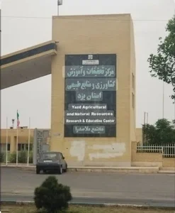 مرکز مشاوره کسب و کار دانشگاه ملاصدرا