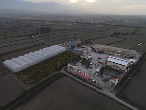کشتارگاه گیلدانه جهان نما