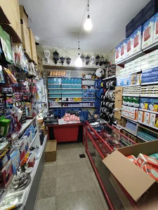 الکتریکی اندیشه(ذوالقدر
