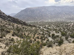 تنگ خوش