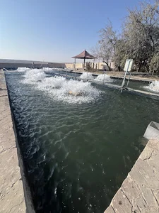 پرورش ماهی زرین دشت