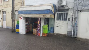 خواربار فروشی ملکی
