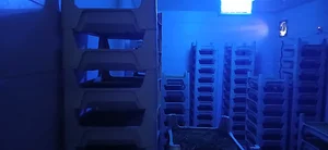 فلای فارم | Fly Farm