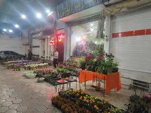 گلستان نرگس