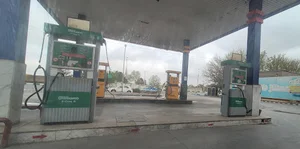 جایگاه اختصاصی مهدی