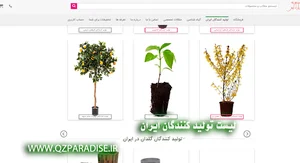 بانک اطلاعاتی