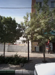 مرغ فروشی