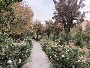 باغ پارک خرمالو 2