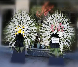 گل فروشی کنتیا