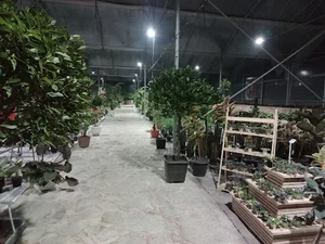 گلخانه ژیک