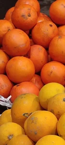 هایپر میوه همایون 4
