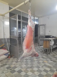 سوپر گوشت یاسین