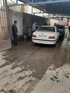 کارواش خاص