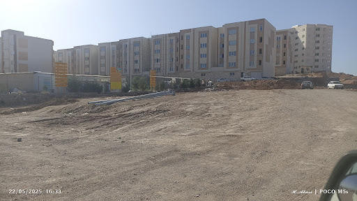 خیابان زیتون