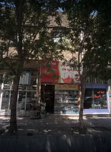 عطاری کاکتوس 2