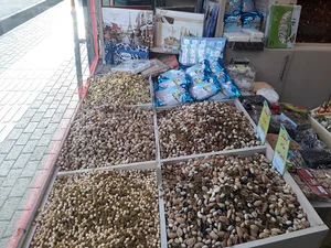 آجیلی توکلی