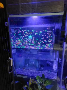 آکواریوم غرب 2