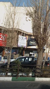 گل نارین 3
