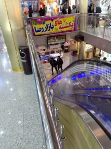 بازار رضا