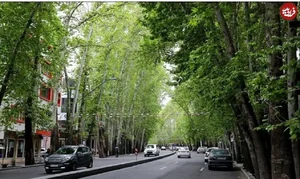 آموزشگاه نقاشی معمار