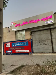 کلینیک دامپزشکی نبض