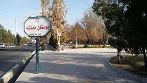بوستان بنفشه
