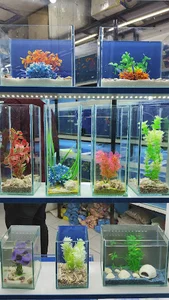 آکواریوم مدرن