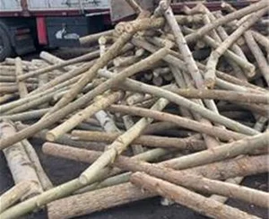 پلی استر کار و نقاش چوب راش