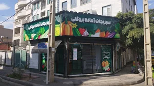 سبزیجات آماده بروکلی