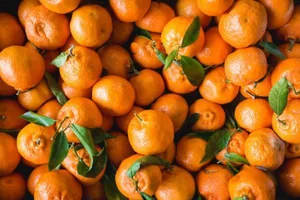 سوپر میوه گشتی 5