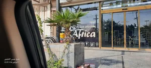 بستنی آفریقا 4