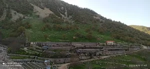 شیلات سرتنگ تلخدان برادران حیدری