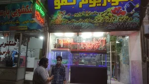 آکواریوم نمو