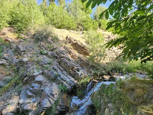 نوبید Novbid
