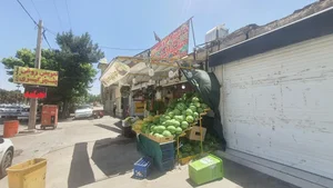 میوه فروشی محمد رسول‌ الله 2
