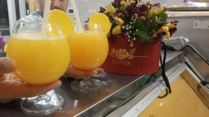آبمیوه بستنی پالیزی 5