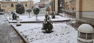 پلاستیک فریزر شریف