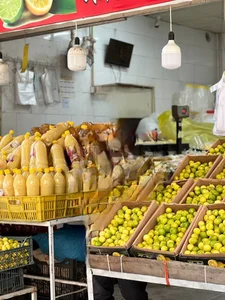 آبلیمو وآبغوره گیری حصاری 3