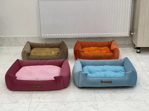 لونا پت 4