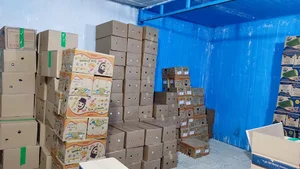 بستنی ب ب کا مدن یاسینی 12