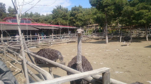 بوستان کارگر