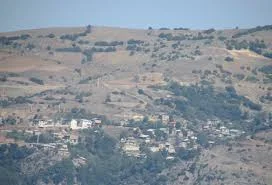وزوار - ویکی‌پدیا، دانشنامهٔ آزاد