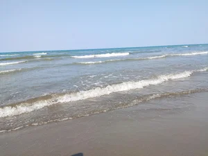 ساحل طلایی رامسر
