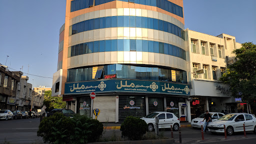موسسه اعتباری ملل