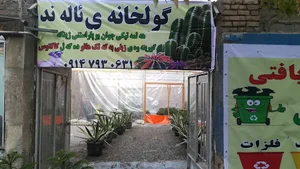 شهر کاکتوس ئالەند