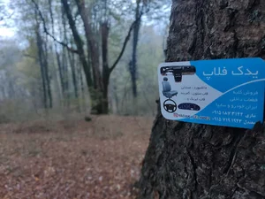 یدک فلاپ معتدل