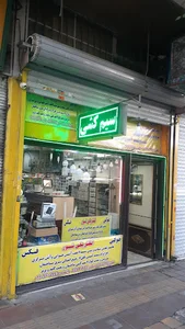 الکتریکی نور