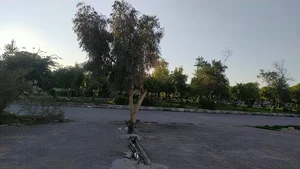 پارک کوثر