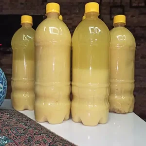 مهدی مقدم و محمد مقدم
