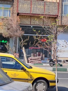 فرش نعیمی 2
